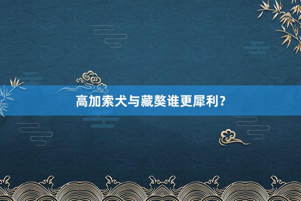 高加索犬与藏獒谁更犀利?