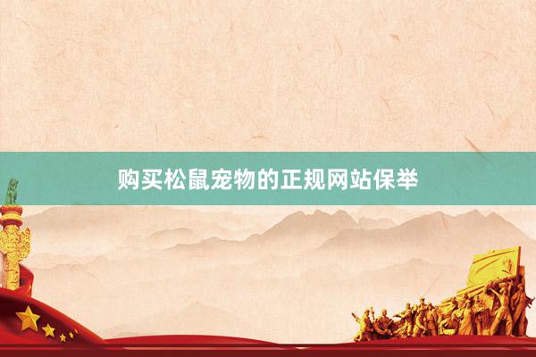 购买松鼠宠物的正规网站保举